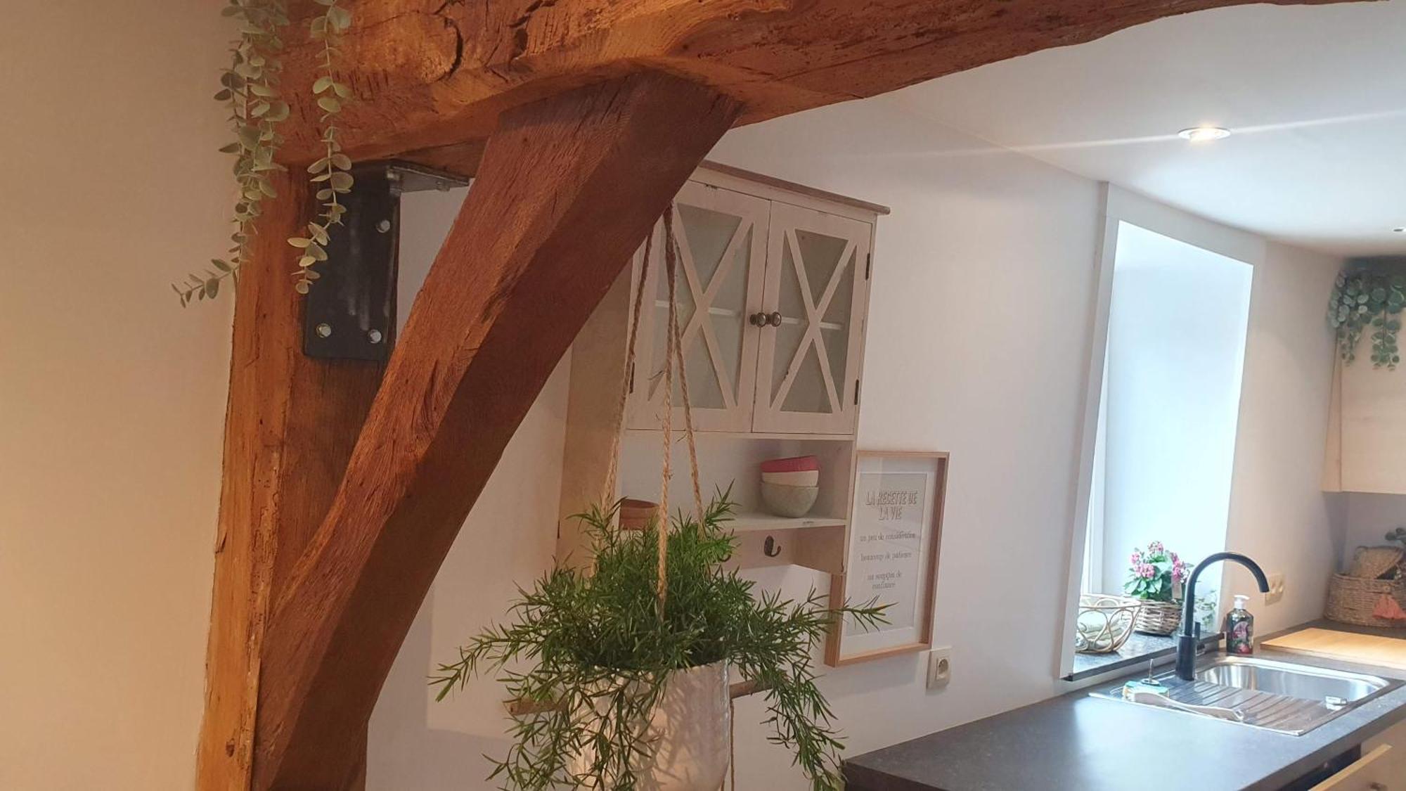Petite Bulle De Saint Remacle Leilighet Stavelot Eksteriør bilde